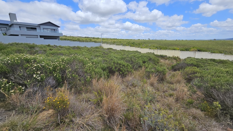0 Bedroom Property for Sale in Blue Waters Estate Eastern Cape
